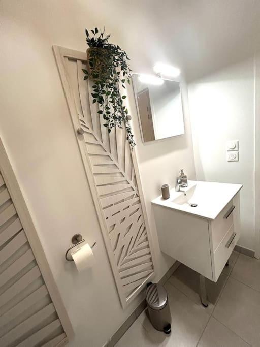 Studio Rose Poudre Centre Ville Toulouse Ngoại thất bức ảnh