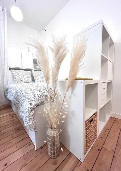 Studio Rose Poudre Centre Ville Toulouse Ngoại thất bức ảnh
